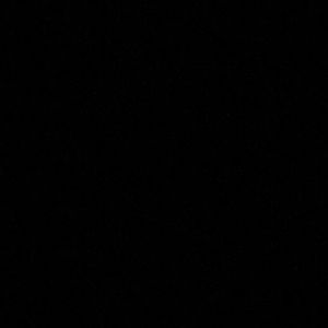 Meet your Posher, Rory